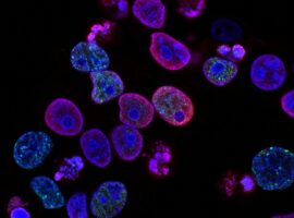 SLG case studies_partner feedback leads to shift in strategic direction